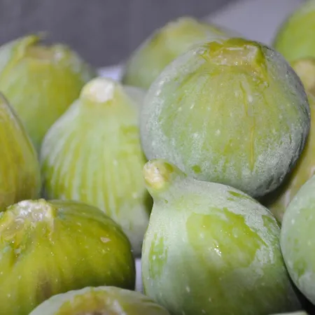 La Terrazza Degli Scrittori Отель типа 