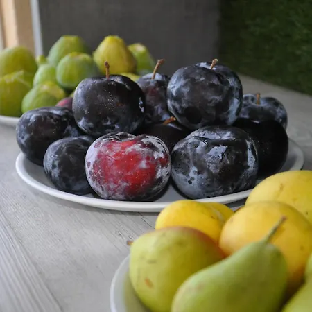 La Terrazza Degli Scrittori 3* Racalmuto